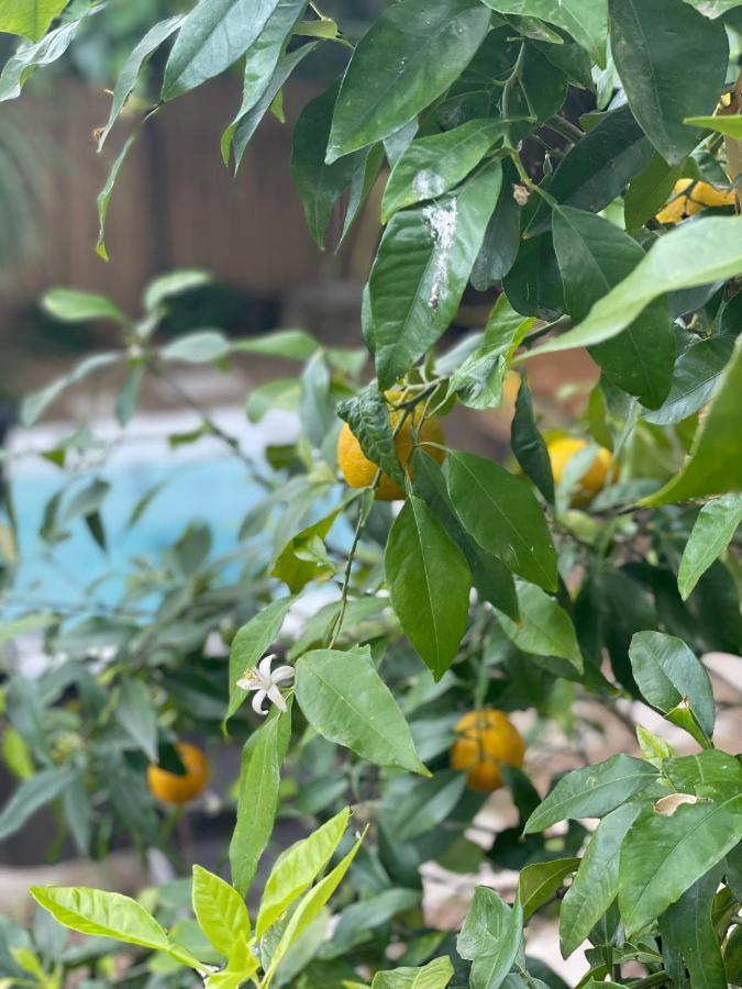 נים Maison Dans Les Arbres, Spa, Tennis, Parking מראה חיצוני תמונה
